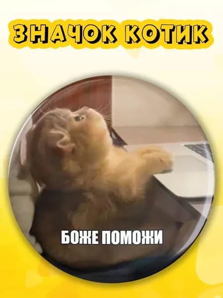 Значок на рюкзак с котиком Боже поможи