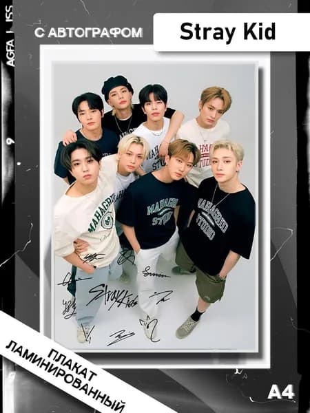 Постер с Stray Kids А4 Ламинированный