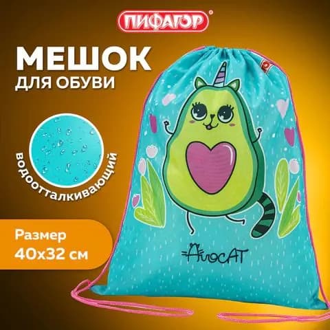 Мешок для обуви ПИФАГОР, 1 отделение, 40х32 см, Avocat, (271597)