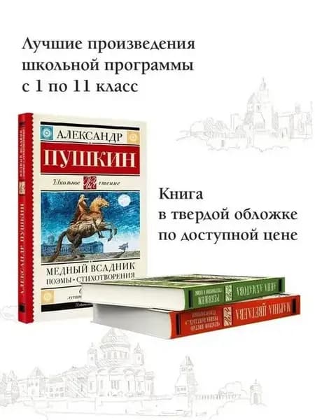 Медный всадник. Поэмы. Стихотворения Внеклассное чтение