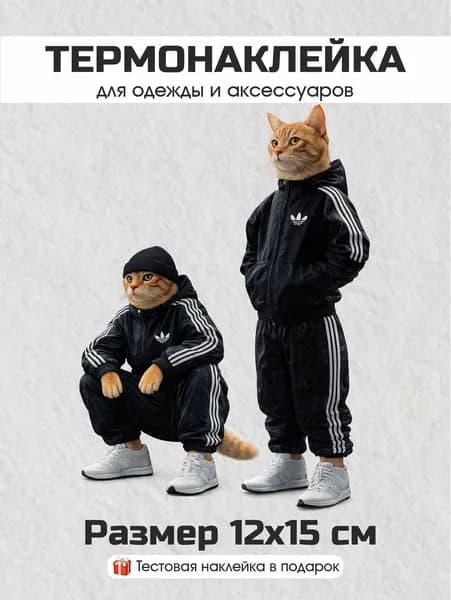 Термонаклейка для одежды Четкие котики (N-23)