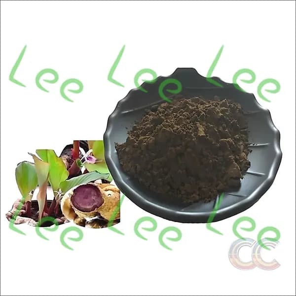 100 - 500 г экстракта чистого черного имбиря (Thai Black Ginger Extract)
