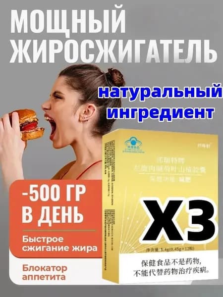 Жиросжигатель