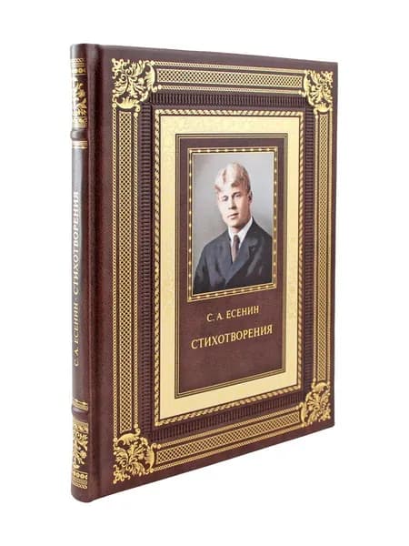 Стихотворения с иллюстрациями и комментариями Сергей Есенин | Есенин Сергей Александрович