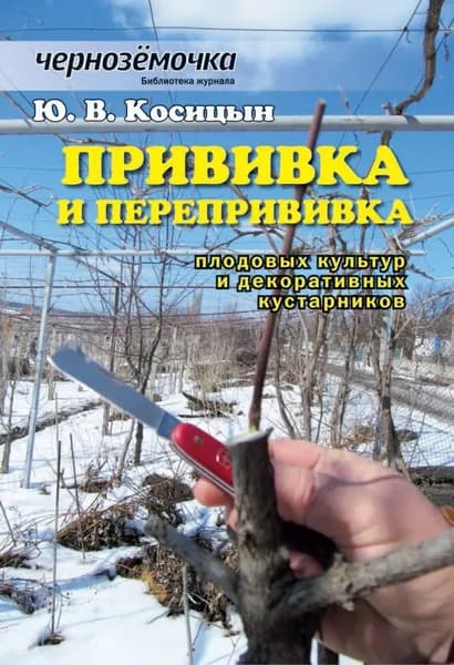 Прививка и перепрививка плодовых культур и декоративных кустарников | Косицын Ю. В. | Электронная книга