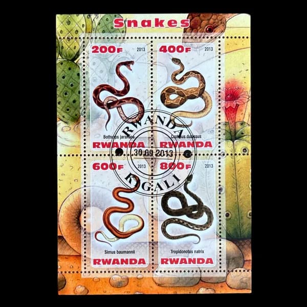 Почтовый блок "Змеи". Руанда 2013 год