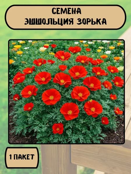 Эшшольция Зорька, семена 10 шт