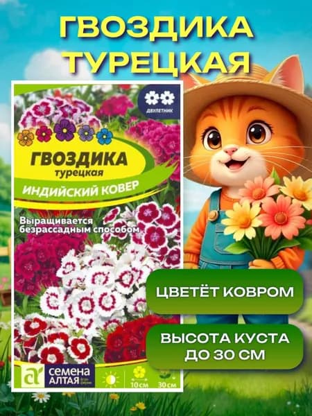Семена цветов для сада, Гвоздика турецкая Индийский Ковер (0,2 гр.) Семена алтая