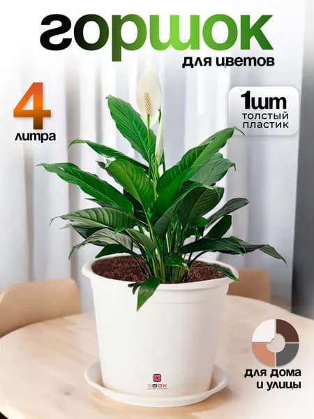 Горшок для цветов 4 л с поддоном, слоновая кость