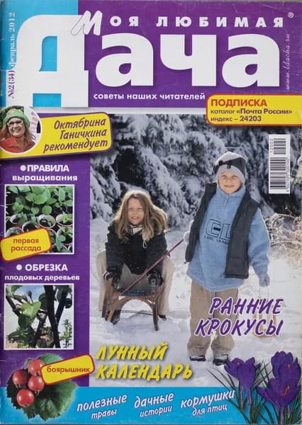 Брошюра