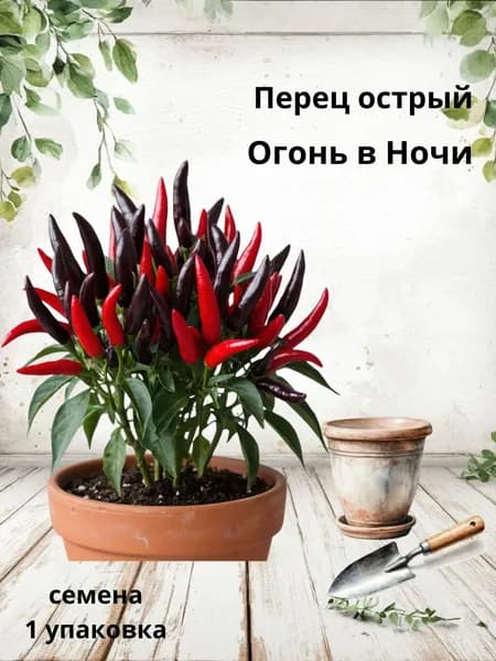 Перец острый Огонь в Ночи, семена, 10 шт