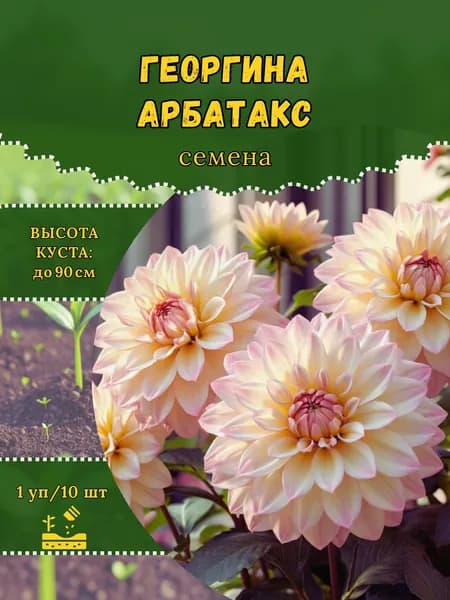 Георгина "Арбатакс" семена, 1 пачка