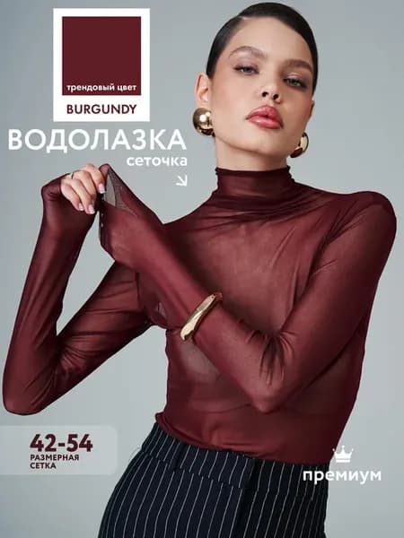 Водолазка из сетки прозрачная с горлом