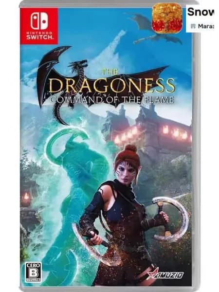 Игра The Dragoness: Command of the Flame (Nintendo Switch, Английская версия)