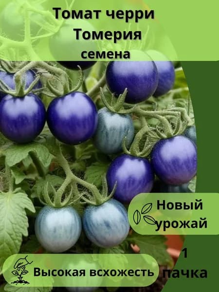Томат черри Томерия, семена 10шт