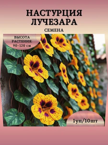 Настурция "Лучезара" семена, 1 пачка