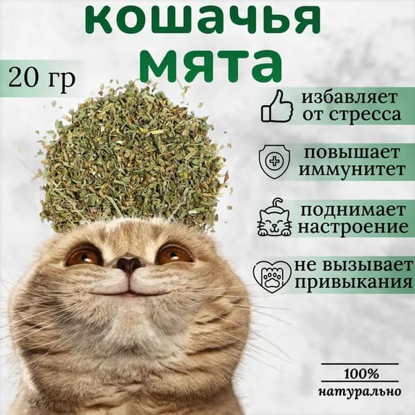 Кошачья мята 20 грамм - Котовник сушенная трава. Лакомство для коррекции поведения, успокоительное, антистресс. Мята для когтеточки, лежака или места.