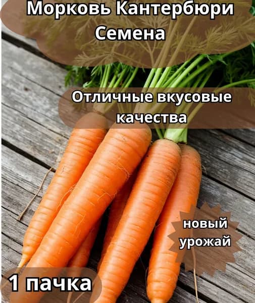 Коллекционные семена моркови F1 Кантербюри