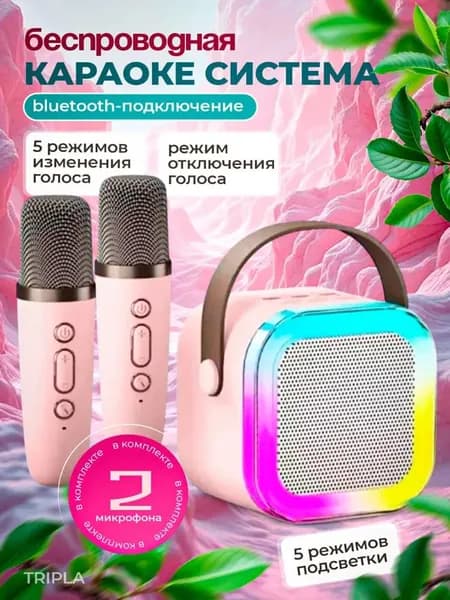 Детская караоке система с двумя беспроводными микрофонами и колонкой