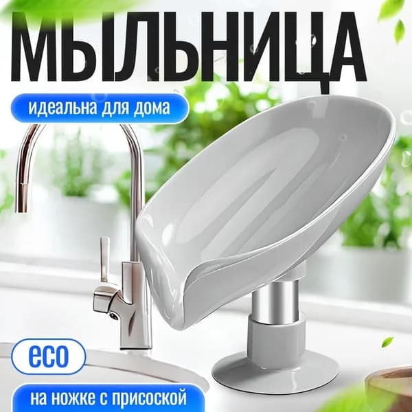 Мыльница