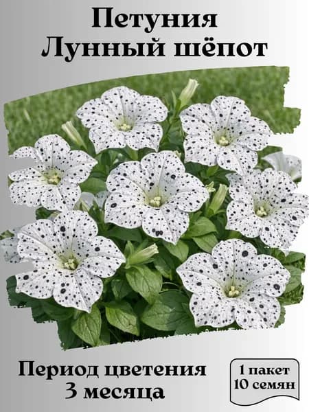 Петуния Лунный шёпот, семена, 10 шт.