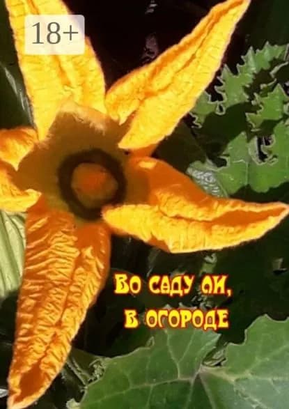 Во саду ли, в огороде | Козлова Наталья Фёдоровна | Электронная книга