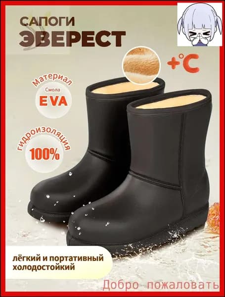 Сапоги