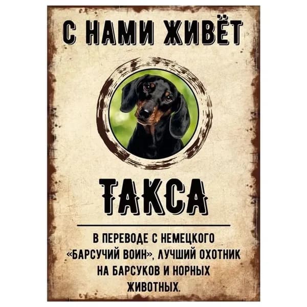 Табличка, декоративная, DANGER DOG, С нами живет Такса, 20x30cm