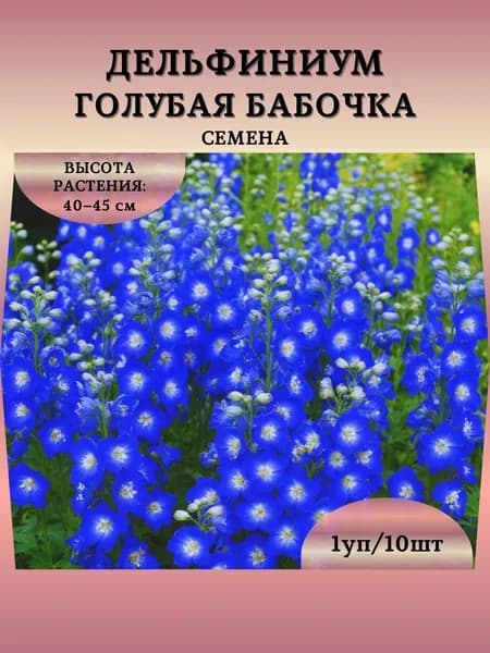 Дельфиниум "Голубая Бабочка" семена, 1 пачка