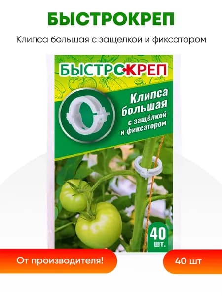 Клипса большая с защелкой и фиксатором, 40 шт