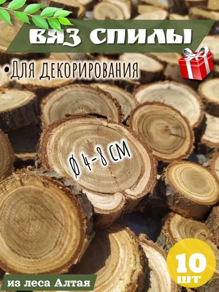 Вяз спил дерева, слэб, заготовки для декорирования, комплект 10 шт.