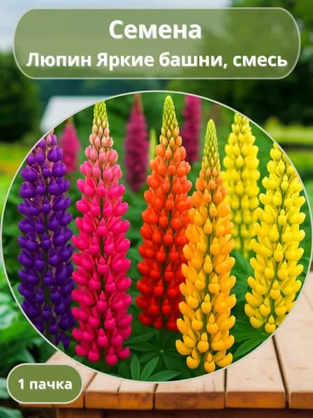 Люпин Яркие башни, смесь, семена 10 шт