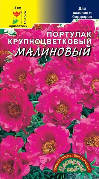 Портулак крупноцветковый Малиновый