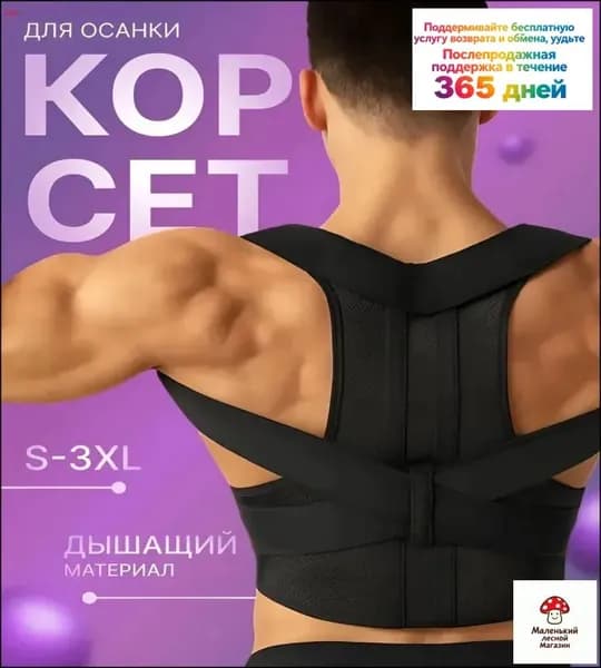 Тренажер для спины zHIpR3T0