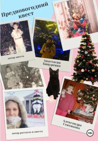 Предновогодний квест | Сентякова Александра, Бицуренко Анастасия | Электронная книга