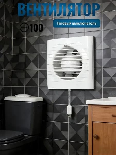 Вытяжной вентилятор 100 с обратным клапаном
