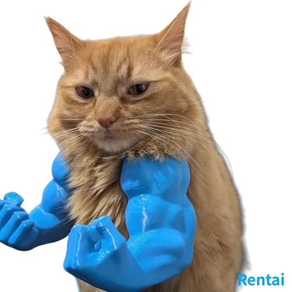 3D-печать кота с мускулистыми руками на шею, синий