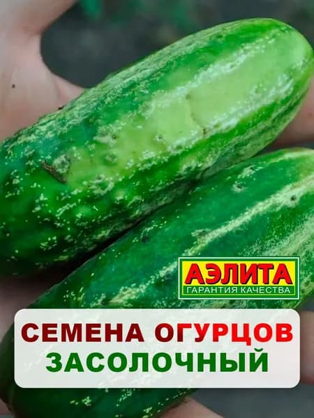 Семена огурец "Засолочный", 10 шт, для дома, дачи и огорода, огурец из семян, для теплицы и открытого грунта