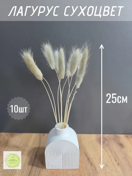 Сухоцветы Лагурус 10шт
