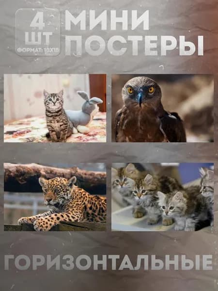 Мини постеры 10 на 15 (набор) «Животные» 4 шт