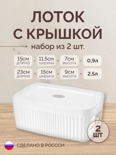 Набор корзинок для хранения с крышкой 2 шт 0,9л, 2,5л
