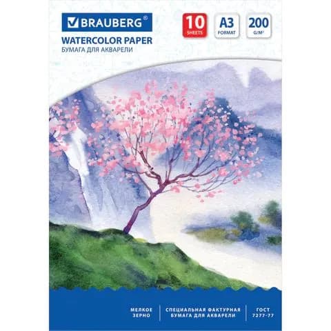 Бумага для акварели большая А3, 10 л., 200 г/м2, 297х420 мм, brauberg, Сакура, ,(набор из 1 шт)