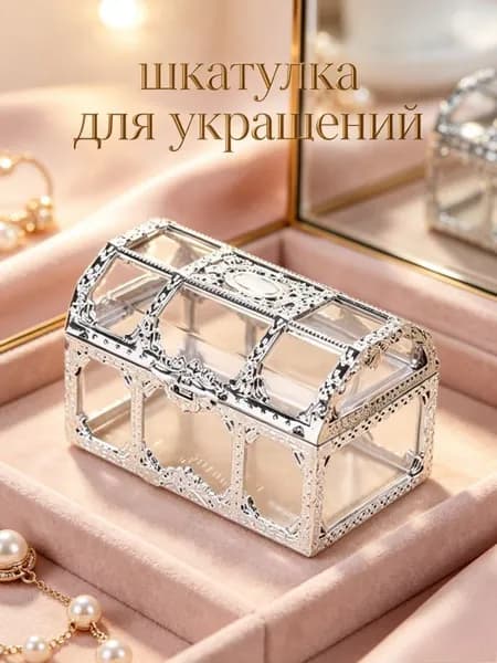 Кофр для хранения вещей с крышкой прозрачный