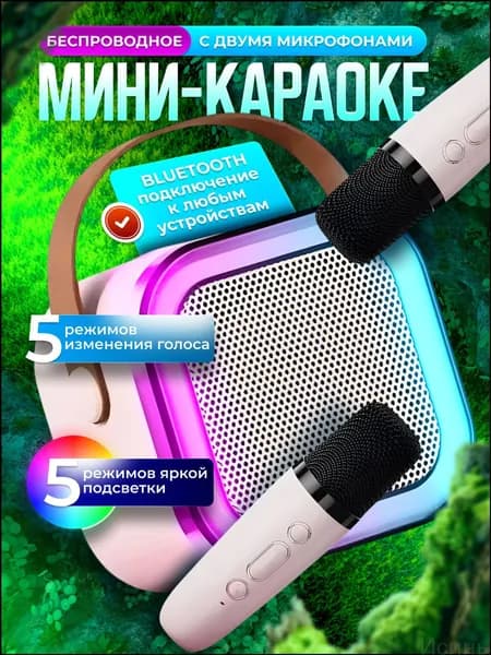 Детская караоке система с двумя беспроводными микрофонами и колонкой-F