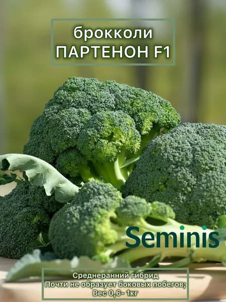Партенон F1 семена капусты брокколи (Seminis), 10 семян