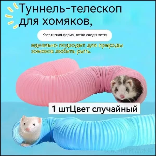 1 штЦвет Прогулочныйшардляхомяка