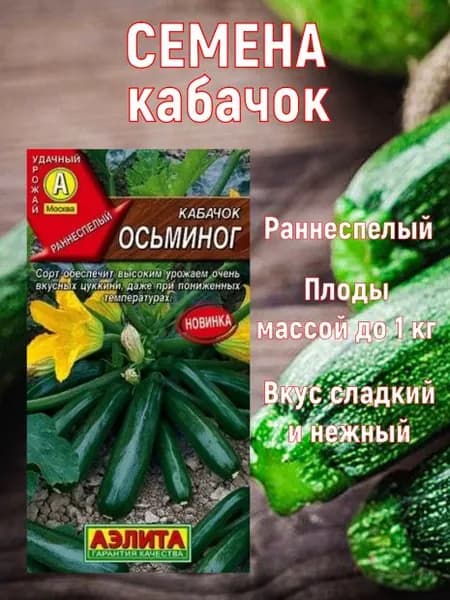 Семена кабачка Осьминог
