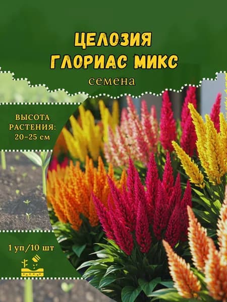 Целозия "Глориас Микс" семена, 1 пачка