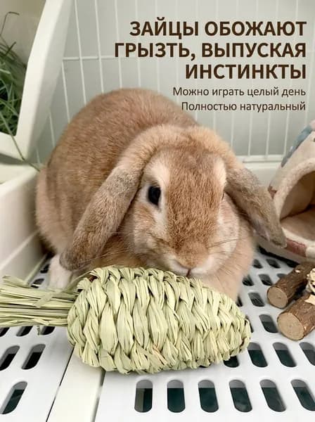 Игрушка для кроликов и грызунов морковь из натурального сена
