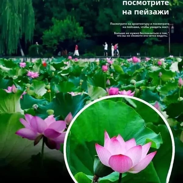 Телескоп высокого разрешения 500x25 с видом на природу и животных в съемки на мобильный телефон.